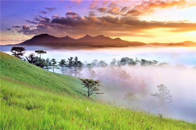  Best food in Dalat 