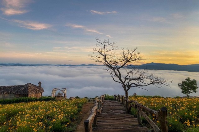 CLOUD HUNTING & SUNRISE IN DA LAT