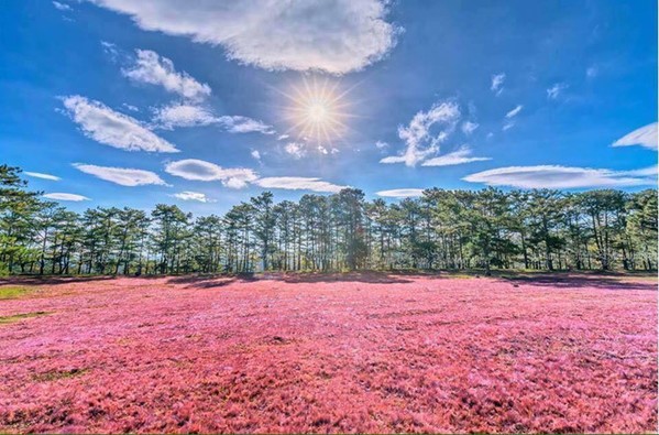 VIP PRIVATE TOUR DALAT