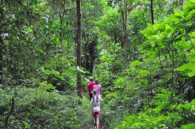 DALAT JUNGLE PATH FINDER 